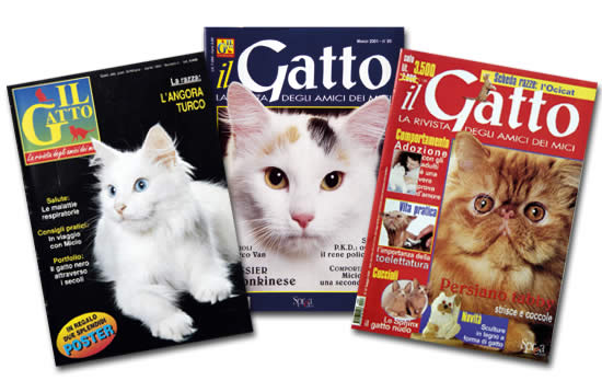 il gatto magazine