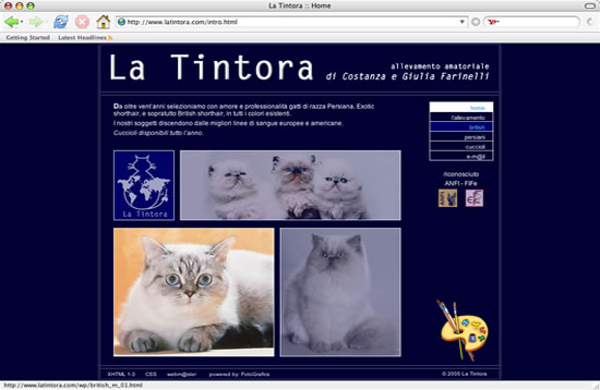 la tintora